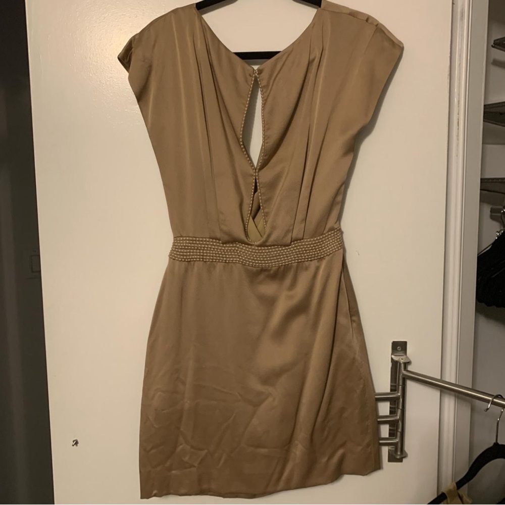 Elegant Tan Zac Posen Silk Dress